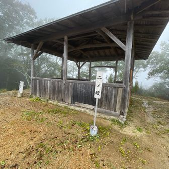 城山山頂