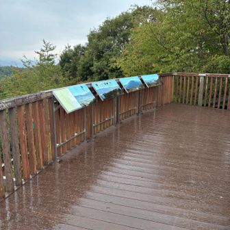 どしゃ降り☂️