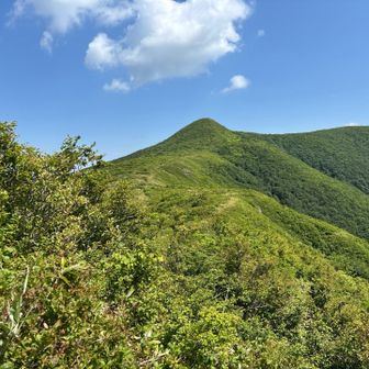 近づいてきた🤗