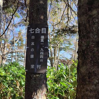 白嵓ノ頭に到着。三角点見つからず