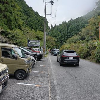 全く車動かず
先頭の方は笠松駐車場の空き待ちで止まっていて、後続車は分からず後ろで待ってました。分かっている車は抜いて行ってましたが初めてだと分からないですよね🤔ちなみにこの時点ではまだ府営の駐車場は空でした。