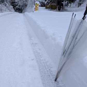 トンネルの出入口
