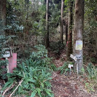 無事に登山口へ戻る😌薄暗くなる前で良かった
今日も見守りありがとうございました😊🙏