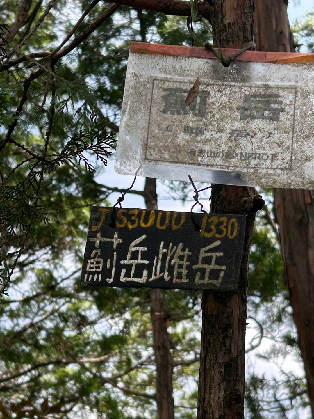 やっと山頂💦