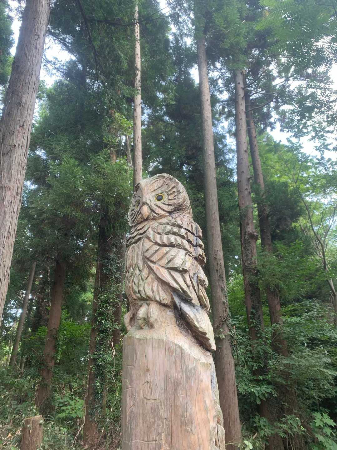 榎窪山-三沢峠-泰光寺山-西山峠 往復コースの写真