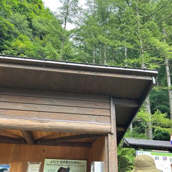 鳥倉登山口　ここから、今日は三伏峠小屋迄⤴️