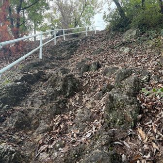 疲れた足でサンダル、そして濡れた岩場😅
手すりに助けられました