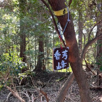 香芳峰到着⛰️