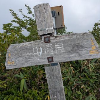 中遠見