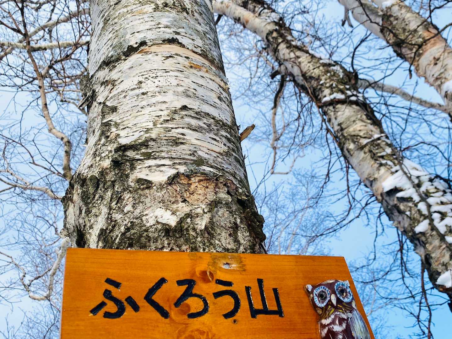 ふくろう山の写真