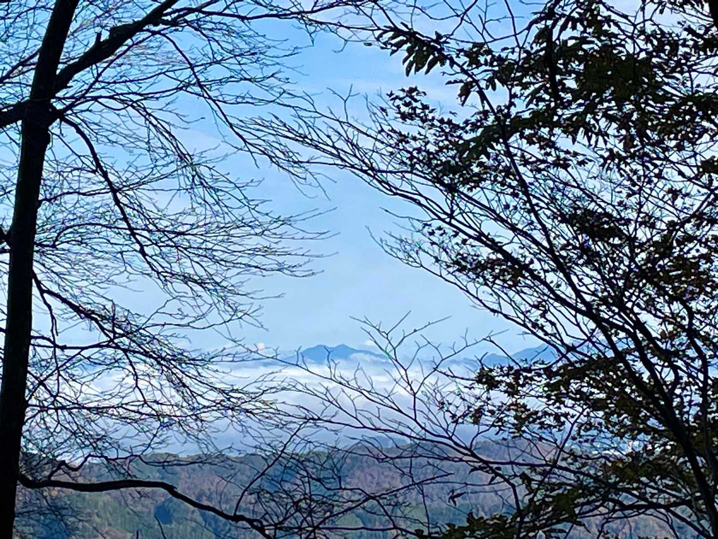 あれ！丹波方面は雲海だよ😍