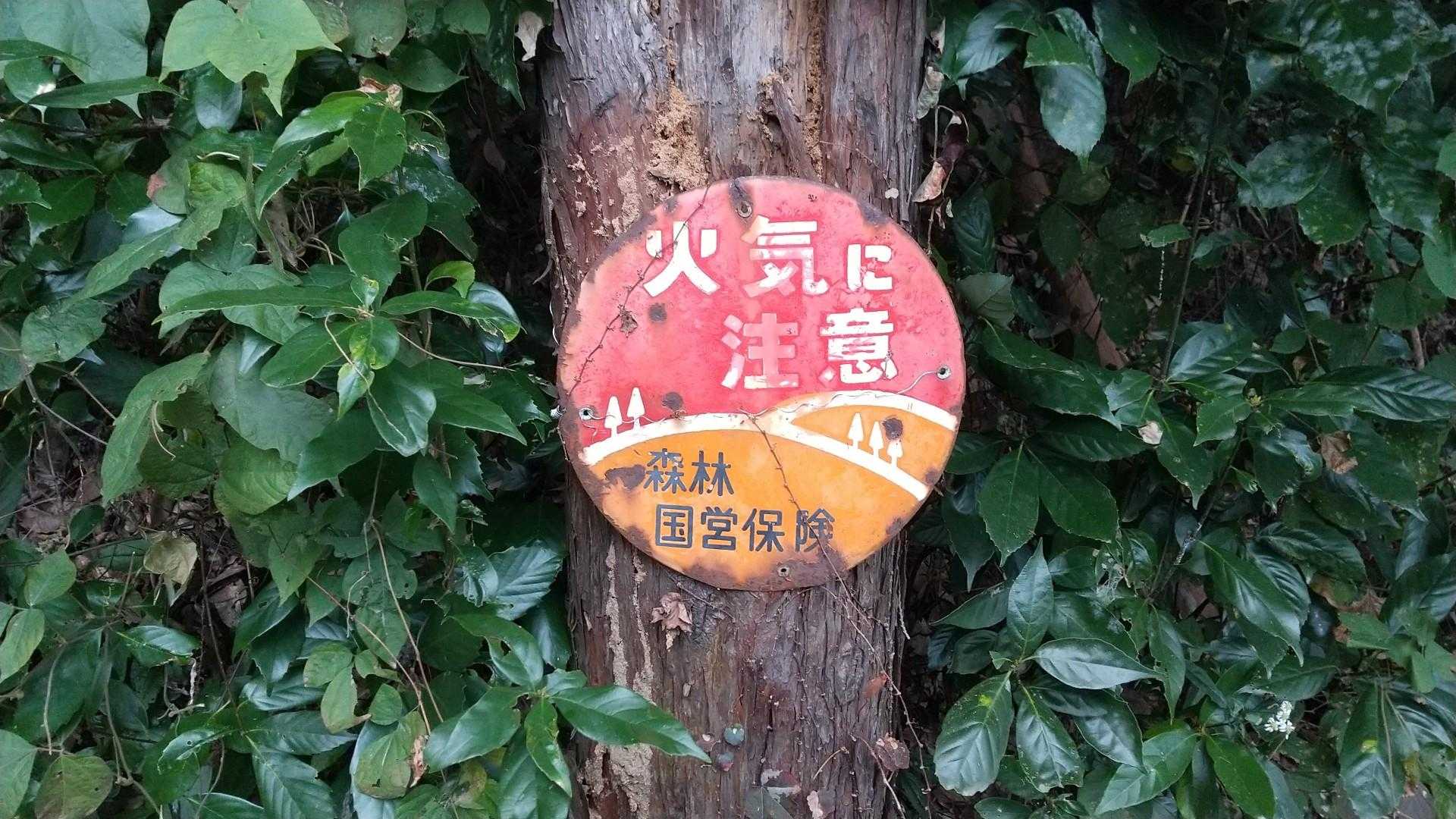 まといリス不在。