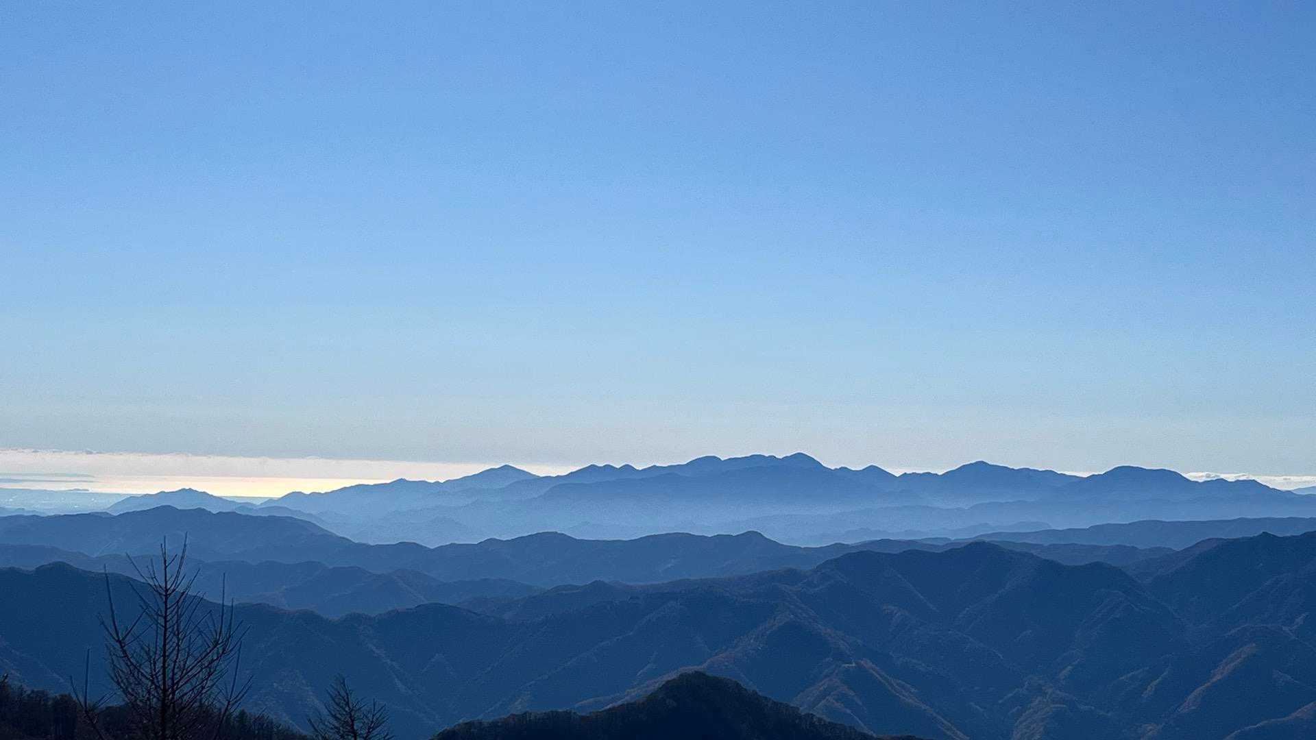 鷹ノ巣山 往復コースの写真