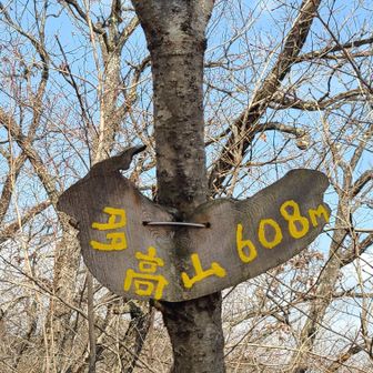 多高山山頂🦌？🐇？