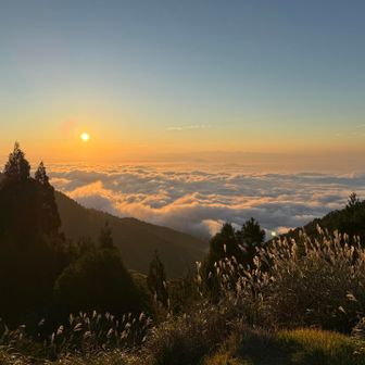360度
https://momento360.com/e/u/a5782c968d3849c696c6f76d782e62fc?utm_campaign=embed&utm_source=other&utm_medium=embed&heading=-359.57&pitch=2.2&field-of-view=75&size=medium&display-plan=true