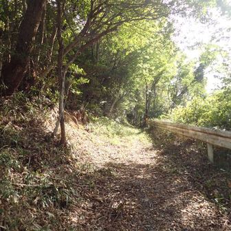 やっと自然の登山道