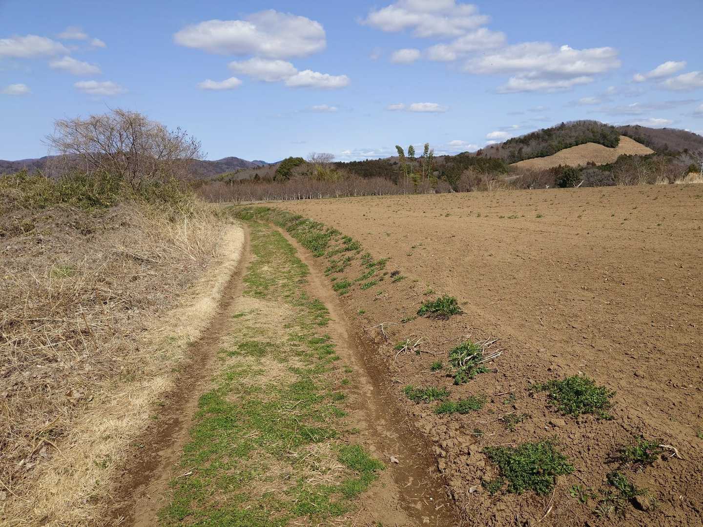 長閑で良いねー(*´∀`*)