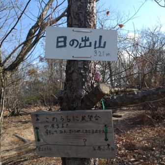 山頂321㍍
引き返して尾根コースを行くか、そのまま谷コースを行くか、今日も悩む…