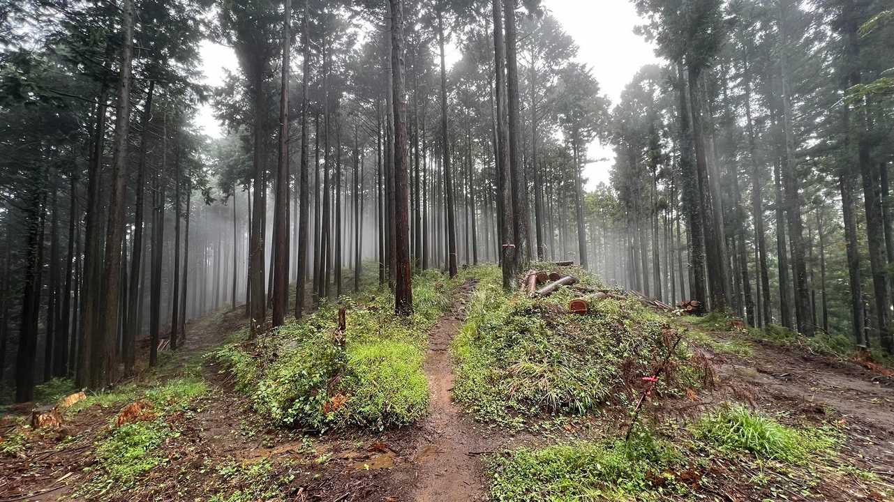 孫山・堂所山・景信山・城山（小仏城山）・高尾山・神変山 の写真 26