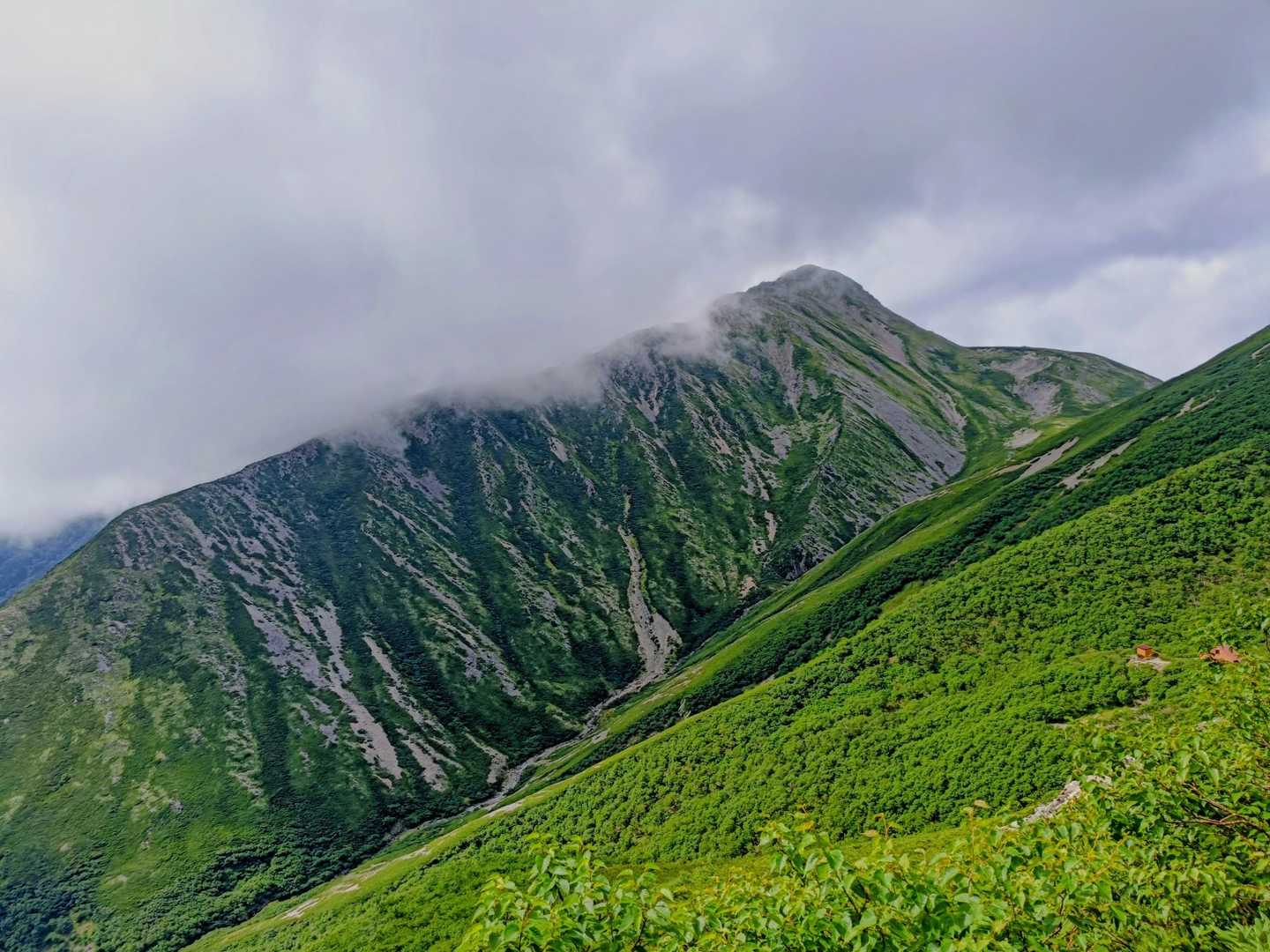 小赤石岳の肩が見える