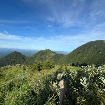 孫　子　男三瓶山