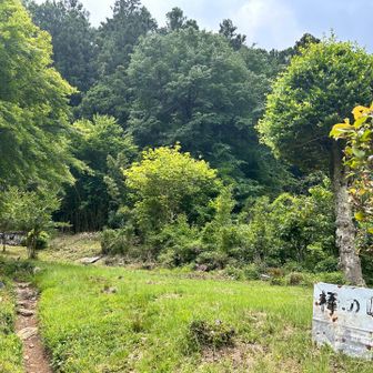滝ノ平尾根登山口まで下りてきました。