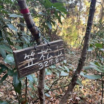 そして眺望のないピークに到着😅