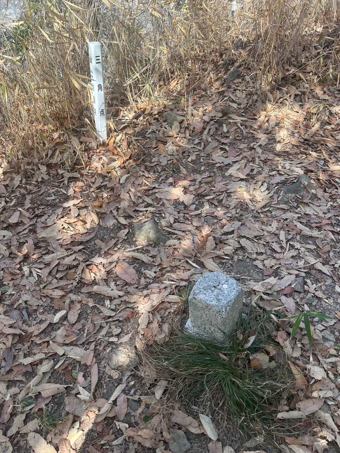 …と、山頂に到着