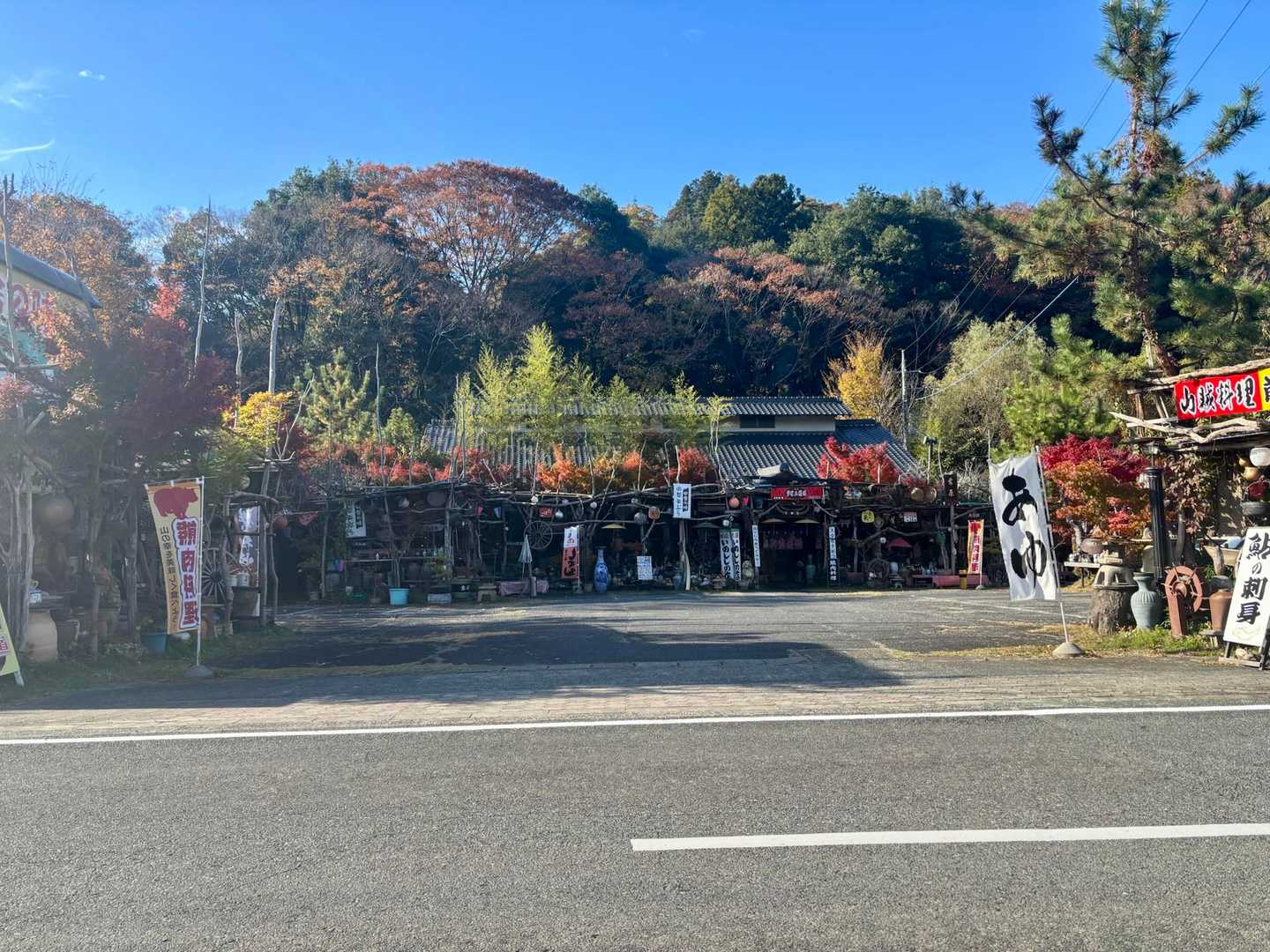 ジビエ好きだけど🐻ですか‥