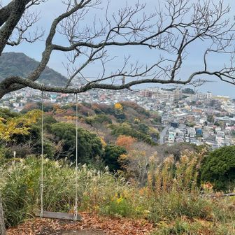 あ！
なんかブランコあるの見たことあるかも！