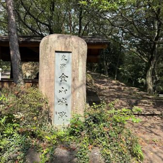 金山城跡