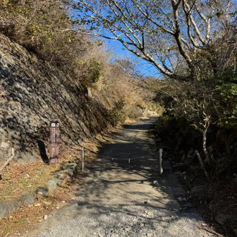 なだらかな登山道でランには最適
他にも走ってる人いっぱいいました