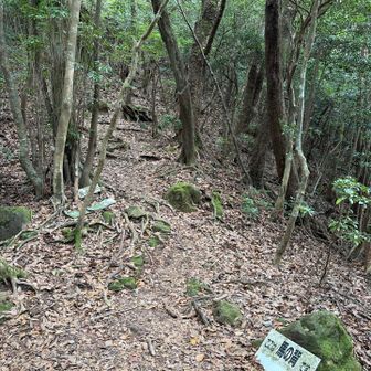 馬の背でちょっと休憩。