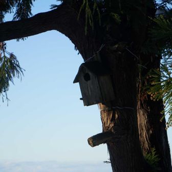 友遊小屋に設けられていた鳥の巣箱
