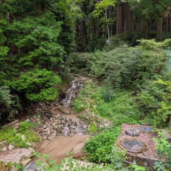 沢沿いは気持ちいい