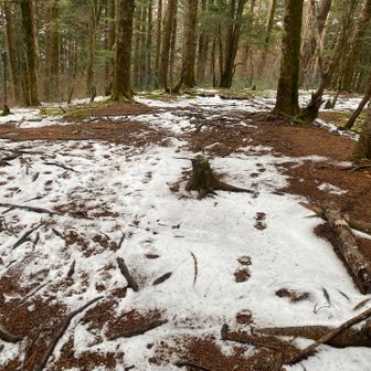 現場状況です❗️🖐️