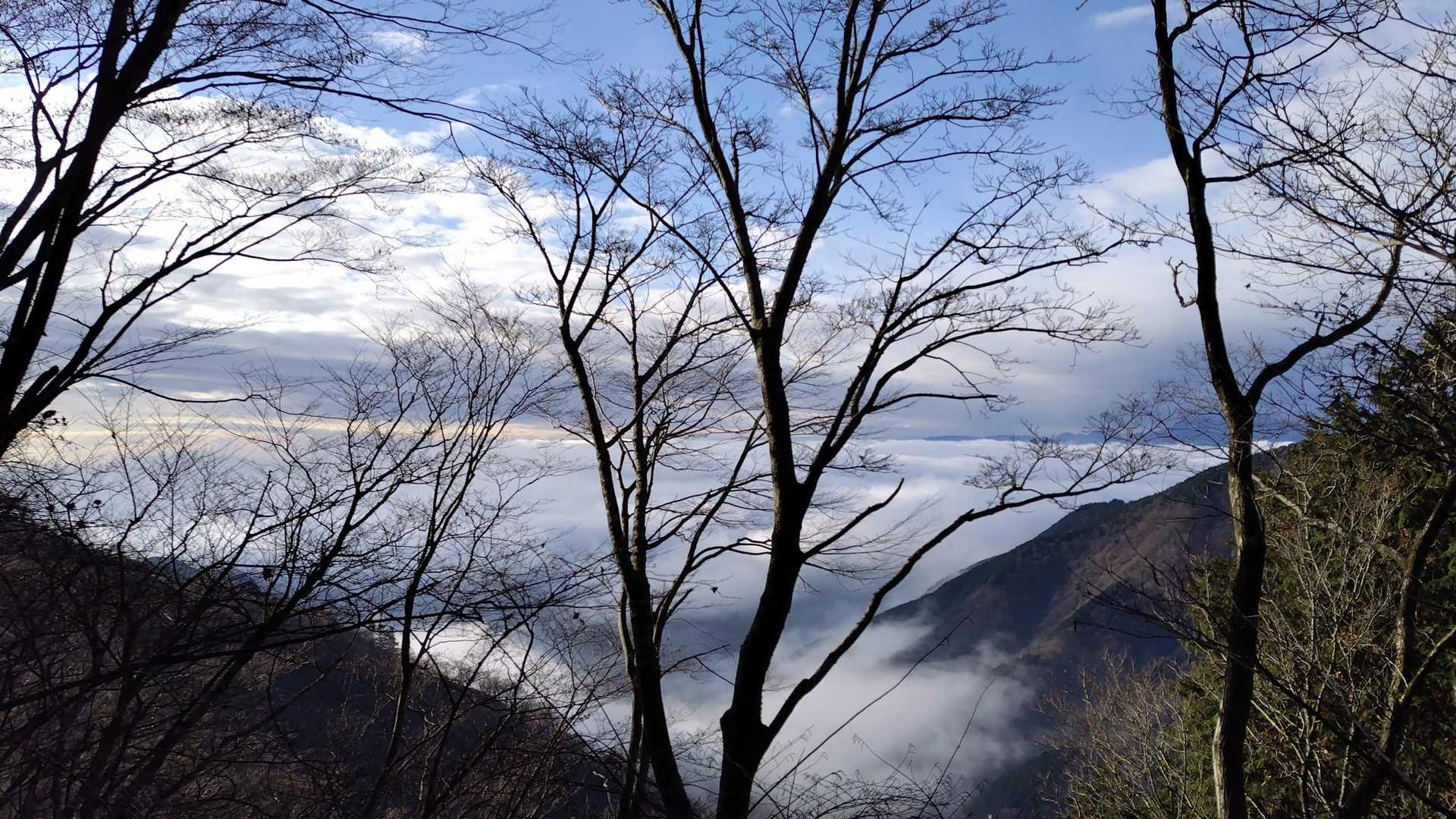 雲海