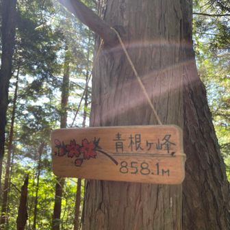前、こんな可愛い山名板無かった〜

小休憩。