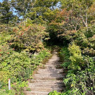 無事下山　石段を振り返って！