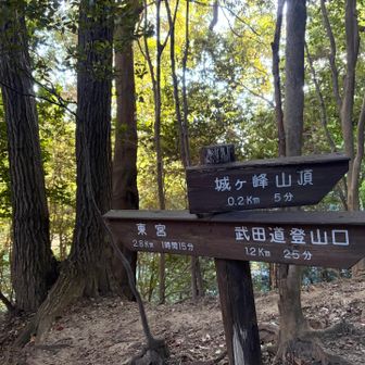 分岐