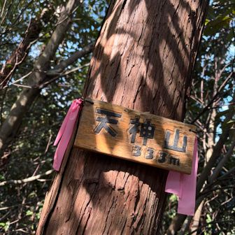 この後、林道整備中につきルートは削られてる。ピークなければ林道をお勧めします。