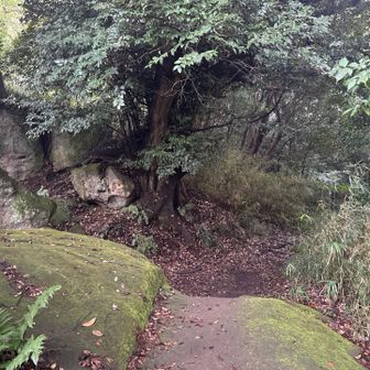 神武寺山はここを左
というかまっすぐと言うか。

右は巻道。
