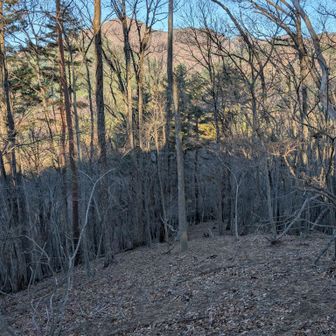 ここを下って先に見える滝子山に進む。