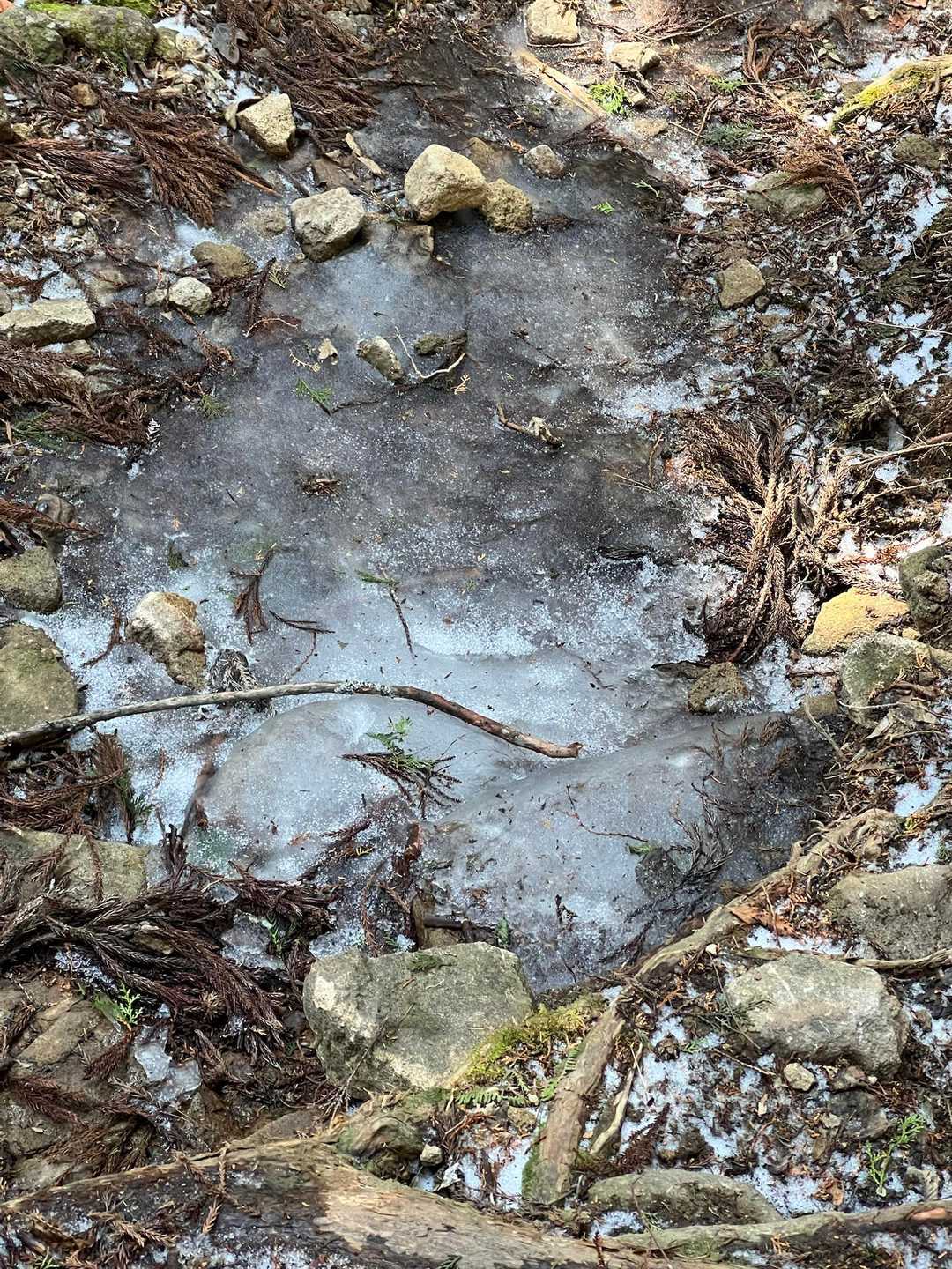 日陰だけガリってる
チェンスパでわざわざ氷上を歩くあるある
滑らんなぁ❗️
