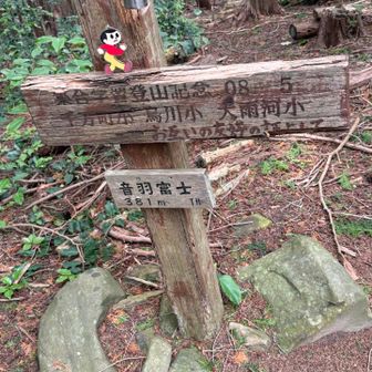 音羽富士に到着💨
地元の２つの小学校🏫の集合学習登山記念に建てられた標柱。　飛び太と共に📷