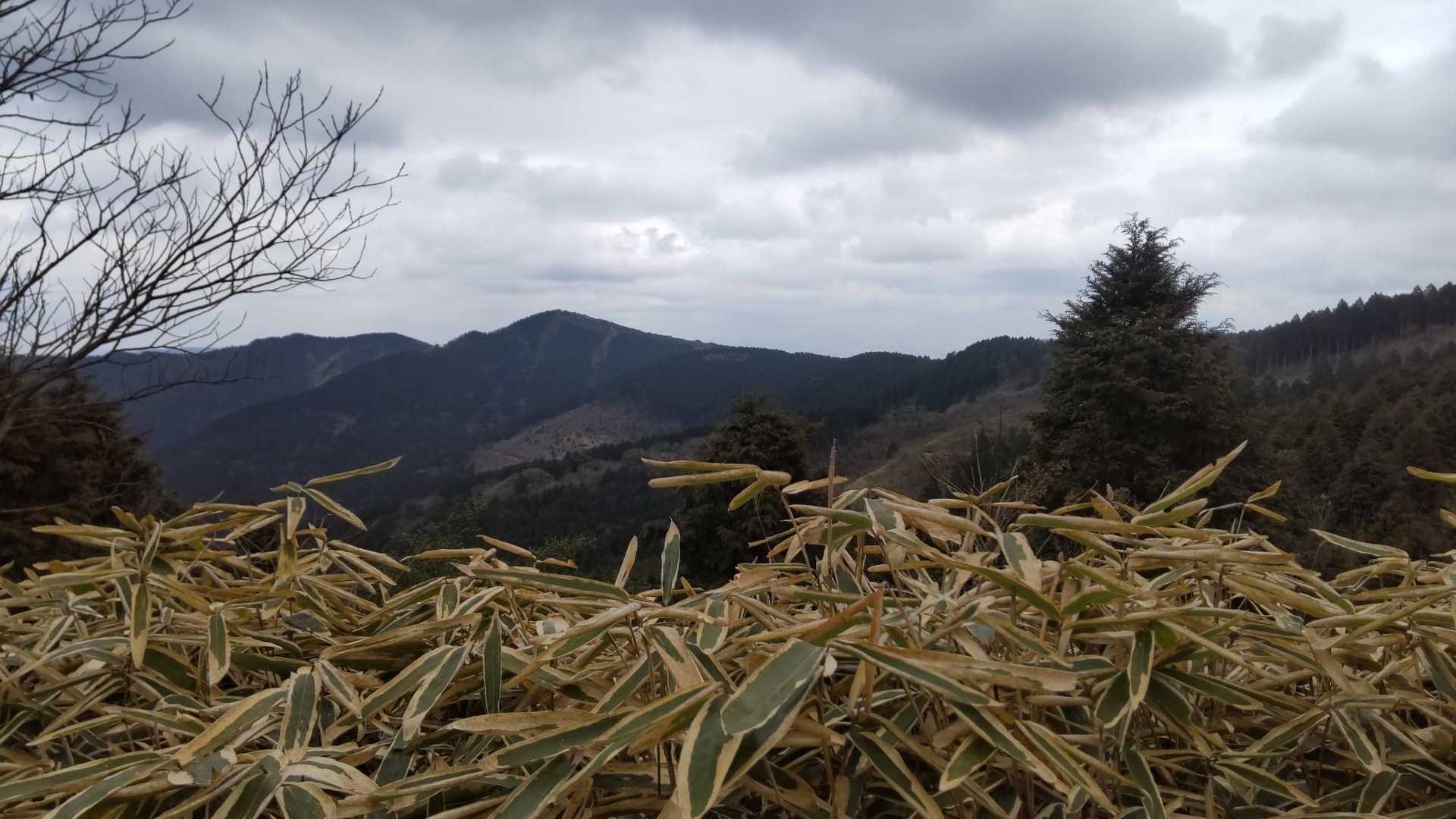 パノラマコースからのパノラマ。