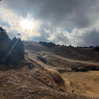 登山口、十里木高原 ススキの原っぱが広がっている✨