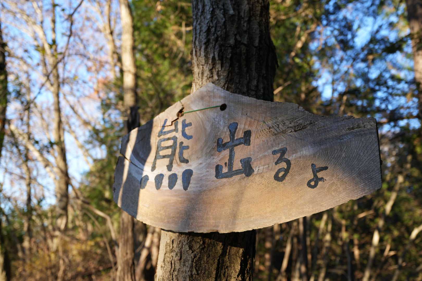 熊出るよ