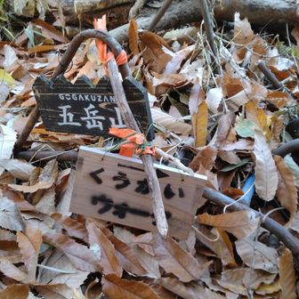 素焼きプレートがアチコチに