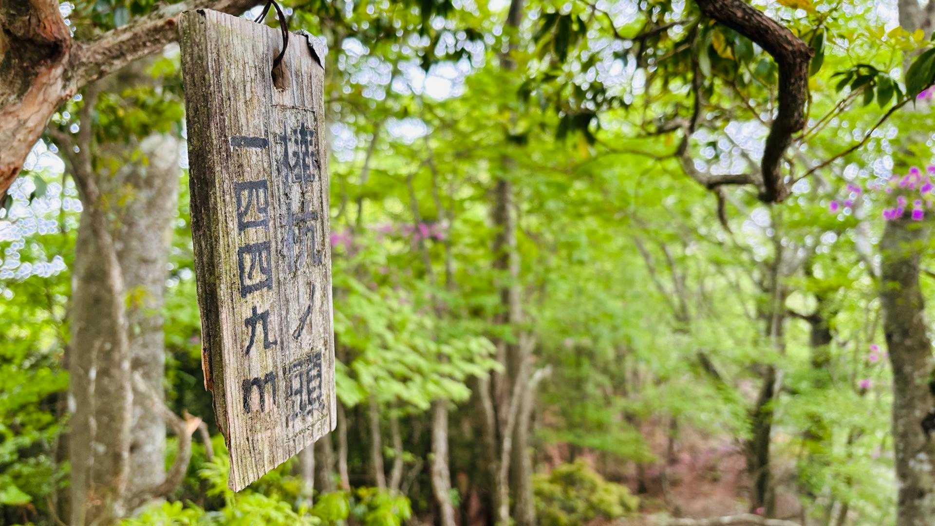 川乗橋バス停-笙ノ岩山-鳥屋戸八丁山-長尾山-蕎麦粒山-横 縦走コースの写真